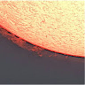 Meet your Posher, Carole-anne